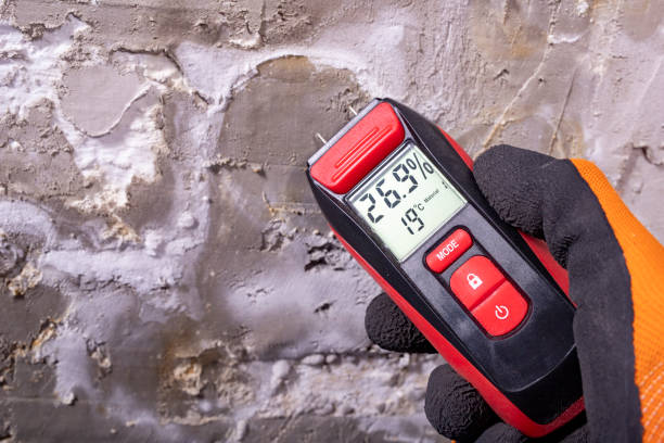 Best Attic Mold Removal  in Morro Bay, CA