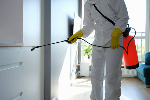 Best Mold Testing  in Morro Bay, CA