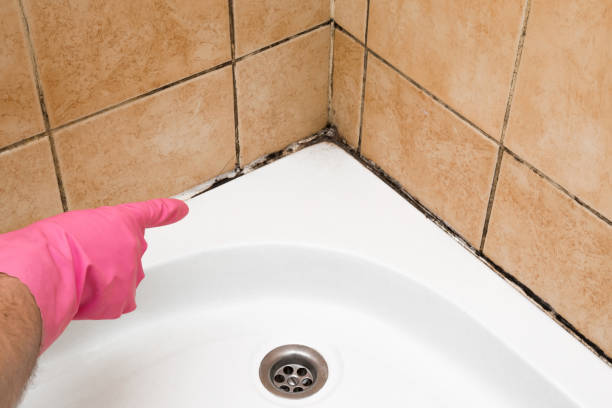 Best Water Damage Restoration  in Morro Bay, CA